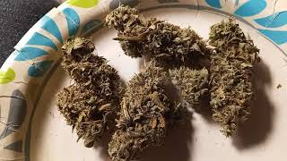 thanks Freedom Pharms Napa Valley Purple Kush
