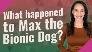 What happened to Max the Bionic Dog?