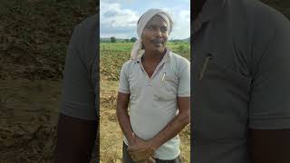 Chhoda Ramgarh Me Dam Ke Pani Se Duba Tamatar Mr Vikash Singh