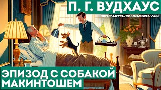 П. Г. Вудхаус - ЭПИЗОД С СОБАКОЙ МАКИНТОШЕМ | Аудиокнига (Рассказ) | Дживс и Вустер