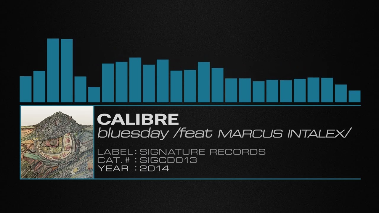 Calibre – Bluesday (feat.  Marcus Intalex)