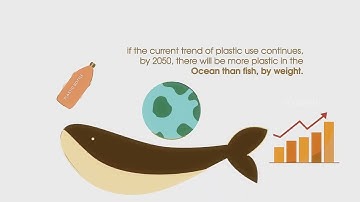 Circular Fashion  | Sulochana Cotton Spinning Mills | Textile Industry