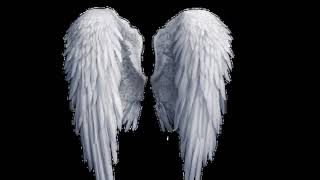 I Met My Guardian Angels NDE (Near Death Experience)