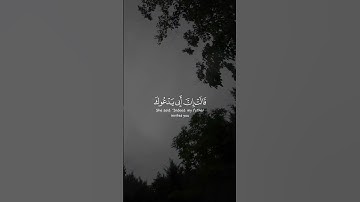 #راحة_نفسية  #هيثم_الدخين [ القصص: 24]🎧 القارئ هيثم الدخين📚