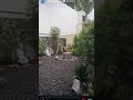 UN POQUITO DE LLUVIA #fedevigevani #shortsviral #aganloviral #vecibanda #parati #guapo #beta #fypシ