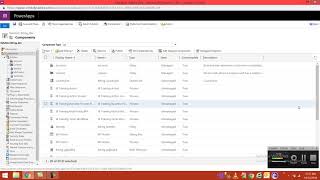 Celebrity Solution in Dynamics 365 Profile