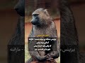 قانون ششم بیزینس هنوز ۹۴ تا قانون مهم مونده ما رو گم نکنید 