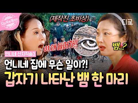[#Sister'sDirectDelivery3] What is the identity of the snake that turned the site into chaos?😱 | ...