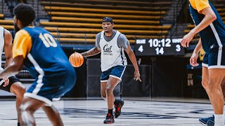Celebrity Cal Men's Basketball: Meet The Bears - Lee Dort Profile