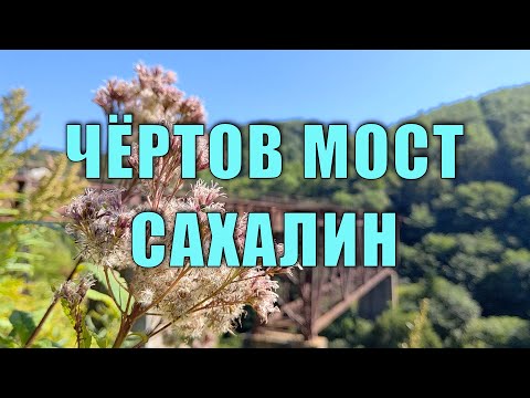 Чертов Мост. Семь чудес острова Сахалин. Как добраться до Ведьминого моста без машины