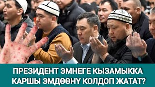 Кызамык Кыргызстанды Селдей Каптады. Эмдөөдөн Эмнеге Качабыз?