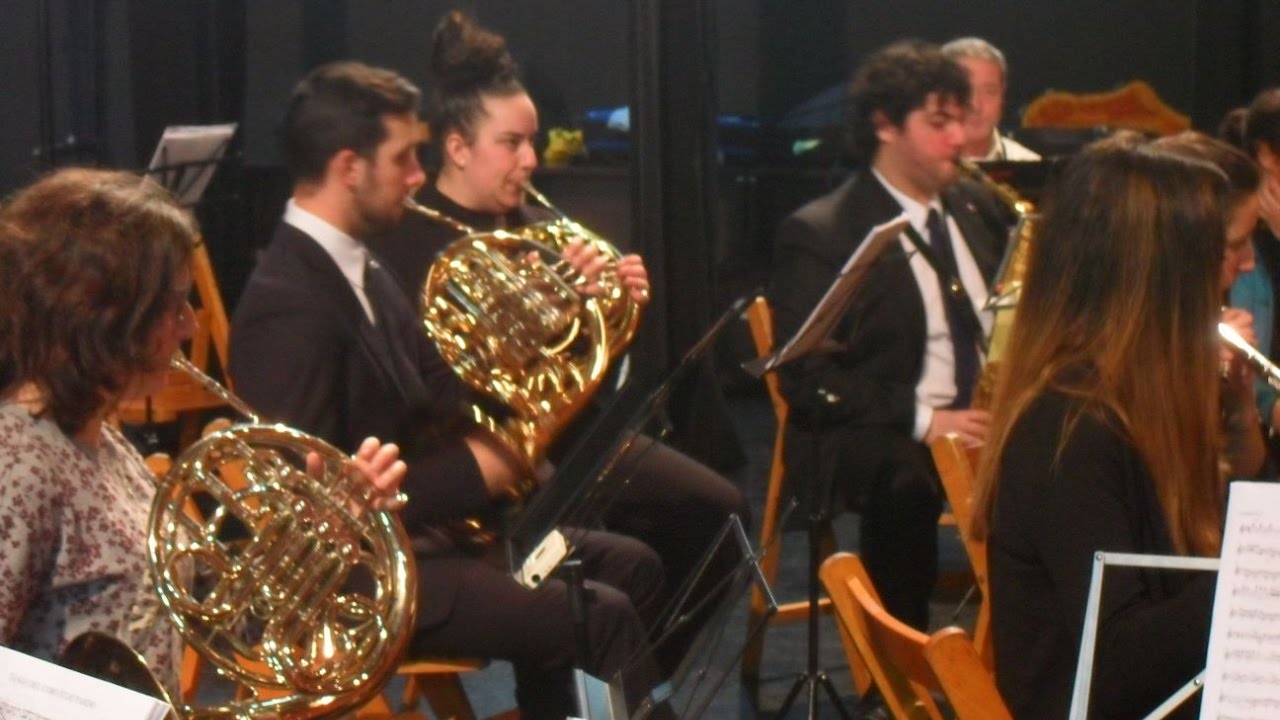 Os passaros do Brasil (Kees Vlak)