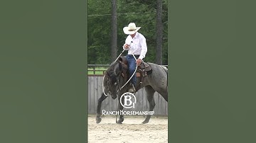 From the collection:  How To Teach a Horse To Spin Part 2