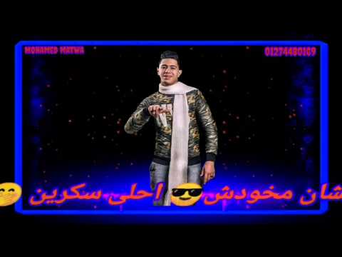 حالات واتس مهرجان مات الحوار وياكي نور التوت