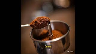 Despierta Tus Sentidos Con El Perkomax