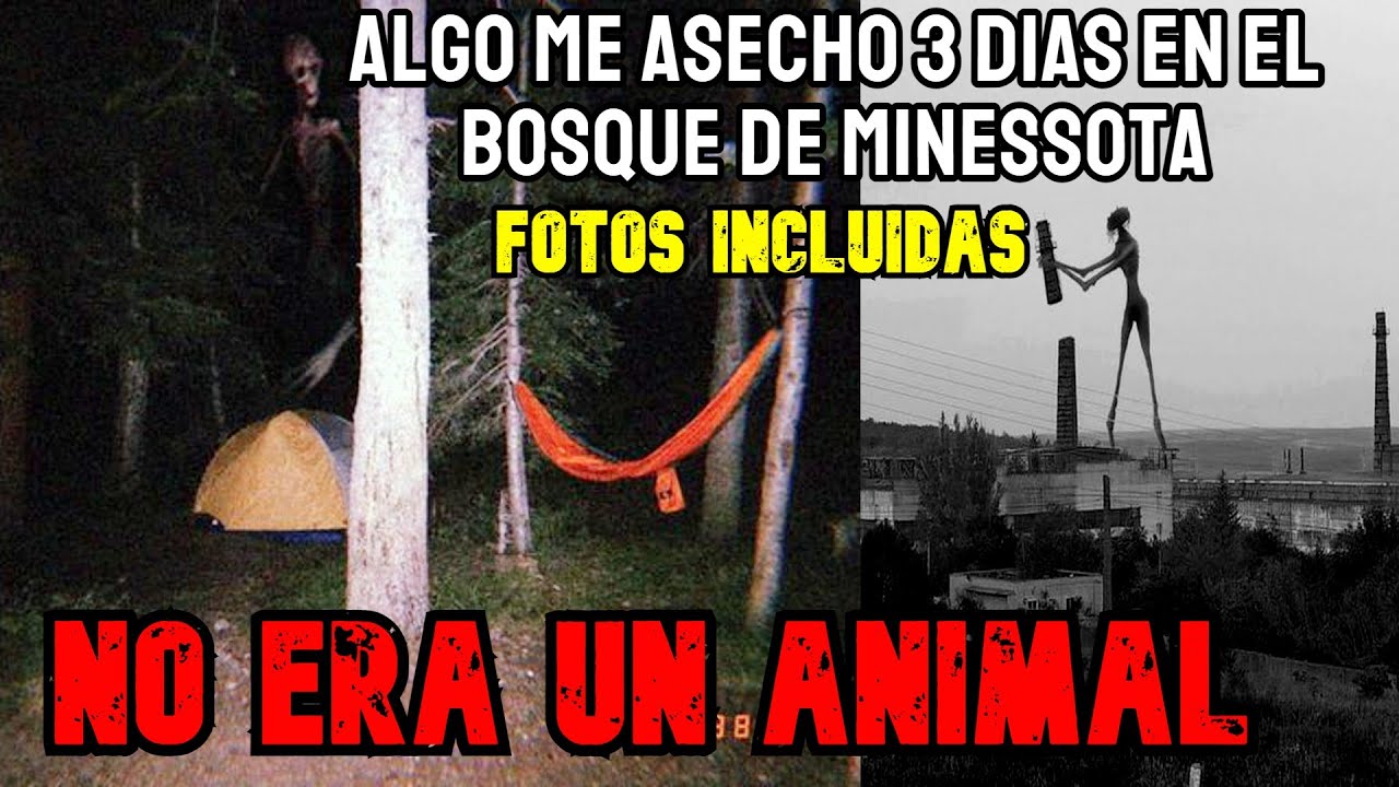 Me Dejaron En El Bosque Durante 3 Días, Algo Inhumano Me Siguió, (Fotos ...