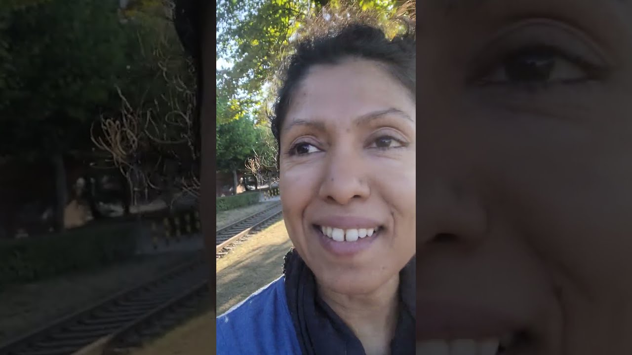 Walking around the river Main in Frankfurt on a sunny 2022 autumn morning