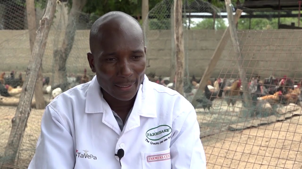 UFUGAJI WA KUKU SULUHISHO LA AJIRA