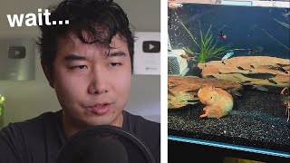 WTF am I watching?! | Fish Tank Review 236