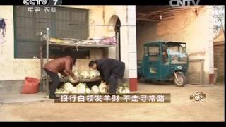 20150306 致富经 银行白领发羊财 不走寻常路