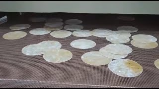 Continuous Papad Dryer Machine - Kerone Engineering