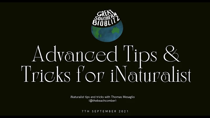 Great Southern Bioblitz - Advanced Tips & Tricks for iNaturalist Users