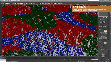 Forest Pack features   Clusters