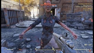 Fallout 76 Beta Bugs To The Tune Of Country Roads