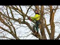 Storm damaged oak removal  mike curwen pov full job