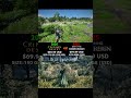 Dense Bush Interaction & Foliage Physics Test | Crimson Desert vs Elden Ring Nightreign
