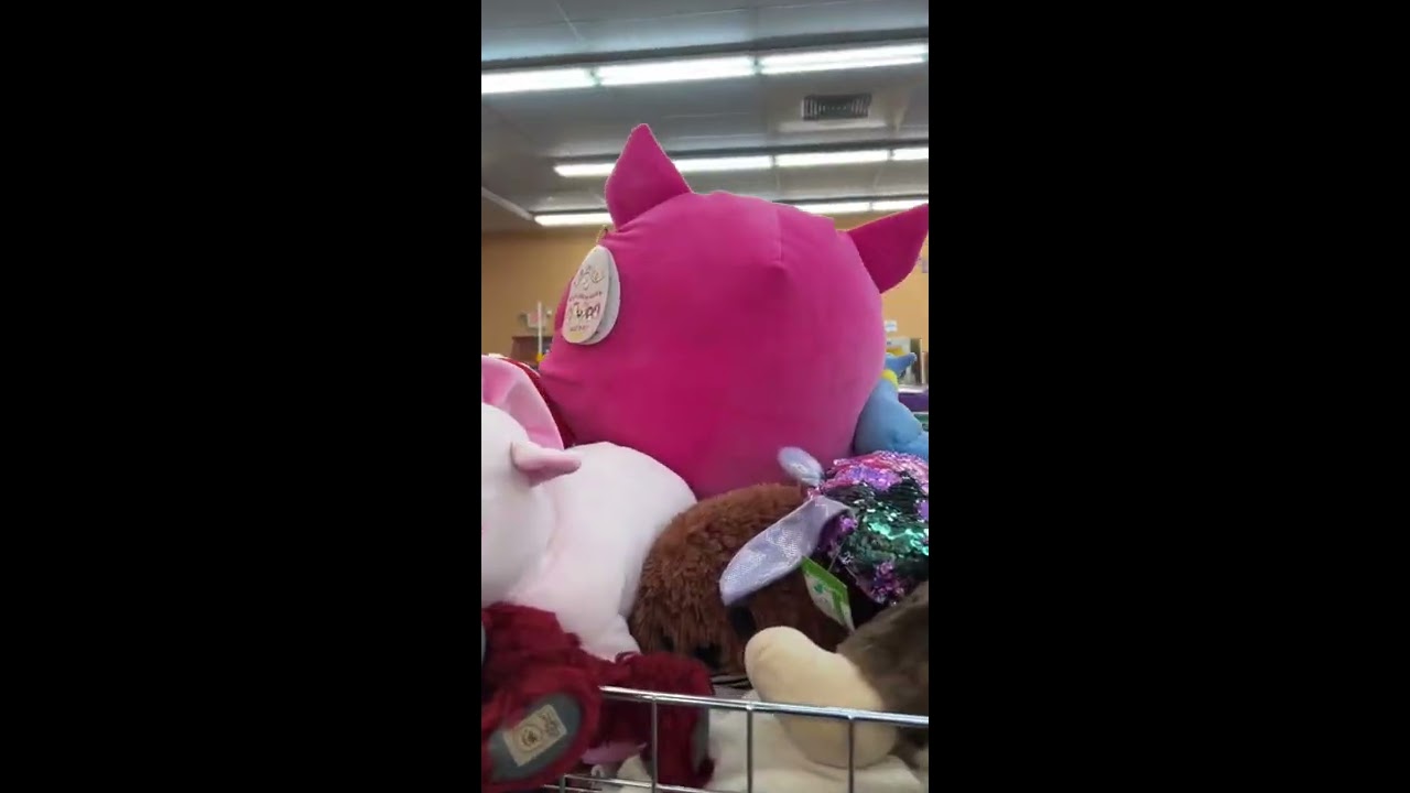 THIS GOODWILL SUCK THE PRICES ARE WILD