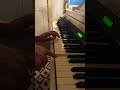 Playing piano #cat, but , #ratdance