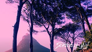 CONSTELLATIA – “The Garden”