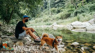 지상낙원 계곡 캠핑[영월 풍경캠핑장 솔로캠핑] Camping in the Valley of Paradiseㅣ반려견캠핑ㅣ냉우동ㅣ수제애견간식ㅣ자연의소리ㅣASMRㅣ4K