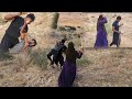 درگیری پروین ابراهیم با حسین رقیه درگیری پروین ابراهیم با حسین رقیه