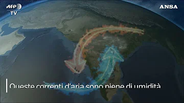 Cosa fanno i monsoni?
