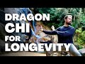 Morning Dragon Qigong For Longevity At Japan S Imose Falls 