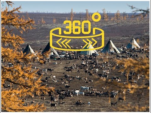 تصویری: توضیحات و عکس های ذخیره گاه طبیعی نیژنه چورسکی - روسیه - شمال غربی: منطقه خودمختار ننتس