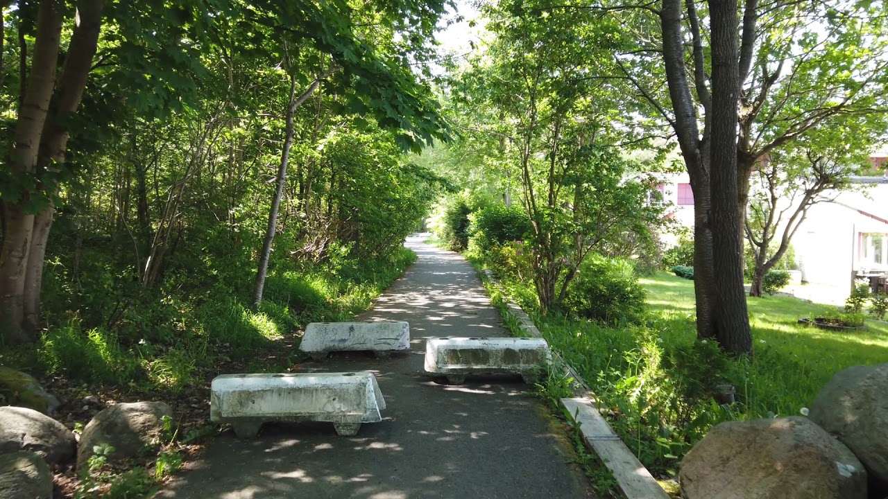 Why is Angular the most popular framework in companies?