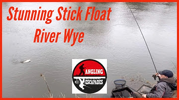 Stunning Stick Float Fishing for Roach on The River Wye