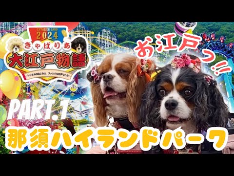 【キャバリアランド】お江戸へ出発だワン編🐶Part.1『きゃばりあ大江戸物語』