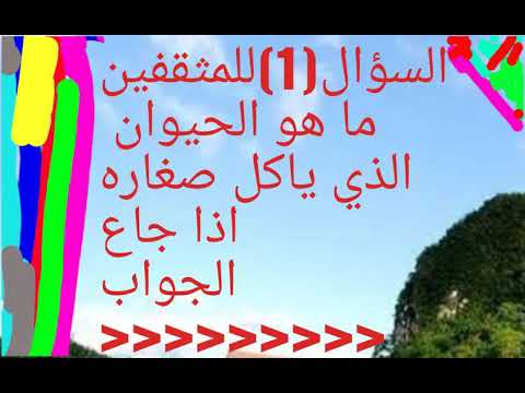 ما هو الحيوان الذي ياكل صغاره اذا جاع Youtube