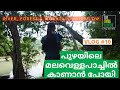 പുഴയിലെ മലവെള്ളപാച്ചിൽ കണ്ടിട്ടുണ്ടോ !! | MOUNTAIN WATER FLOW IN OUR RIVER | DEVU&#39;S VLOG