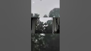 تلاوة من سورة طه - الشيخ احمد بن طالب
