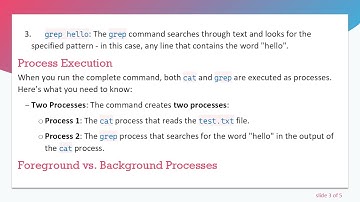 Understanding the Output of cat and grep Commands in Linux