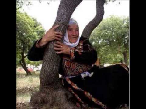 ياجماهير الارض المحتله