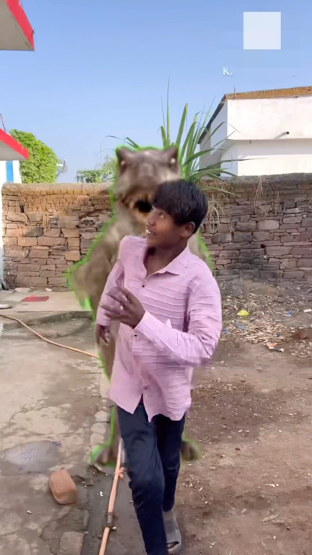 CHOTU KA DANGER ANIMALS #shorts @FACTFIREKING