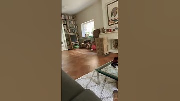Perfect loop?#funny #perfectloop #cat #satisfyingloop #loop #interiordesign #stopmotion #endlessloop