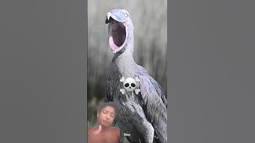 the scariest bird sounds in the world☠️#birds #sound #edit #trolledit #foryou #freefire #world #meme