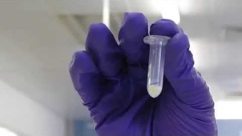 Re-dispersion of Silica Nanoparticles